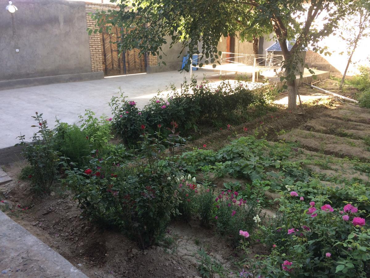 Salom Hostel Panjakent Ngoại thất bức ảnh
