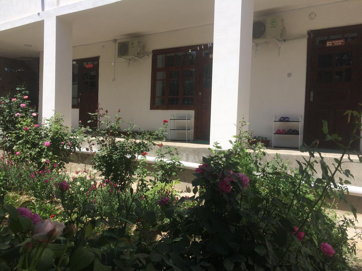 Salom Hostel Panjakent Ngoại thất bức ảnh