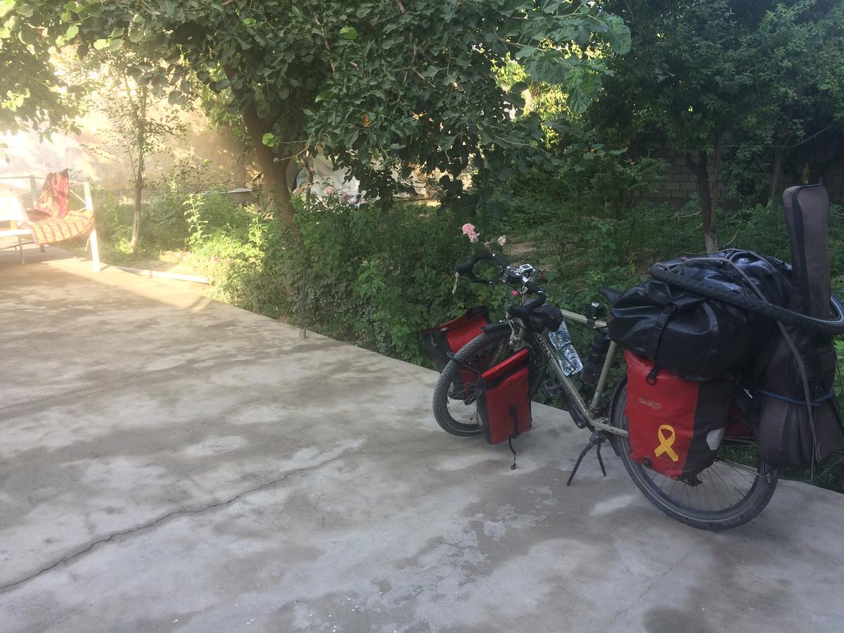 Salom Hostel Panjakent Ngoại thất bức ảnh